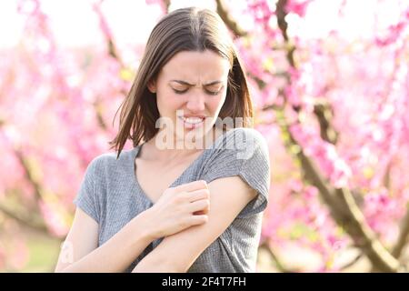 Donna stressata graffiare braccio prurito dopo il morso di insetto in un campo di alberi di pesche in primavera Foto Stock