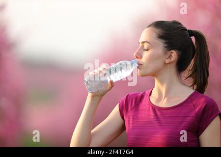 Runner che riposa l'acqua potabile da una bottiglia dopo lo sport in un campo rosa Foto Stock