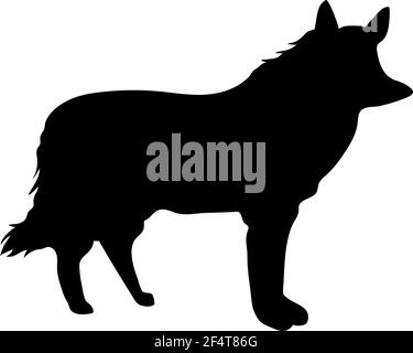 Silhouette Red Wolf. Linee lisce e pulite. Silhouette Red Wolf con dettagli elevati. Illustrazione vettoriale. Illustrazione Vettoriale