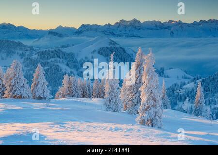 Geografia / viaggio, Svizzera, vista dal Rigi, diritti-aggiuntivi-liquidazione-Info-non-disponibile Foto Stock