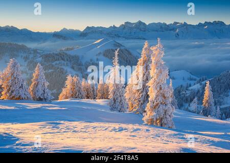 Geografia / viaggio, Svizzera, vista dal Rigi, diritti-aggiuntivi-liquidazione-Info-non-disponibile Foto Stock