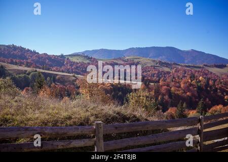 Paesaggio autunnale in montagna con prato e alberi colorati sullo sfondo Foto Stock