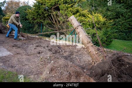 L'uomo sta rimuovendo un ceppo di albero con un paranco nel giardino. Foto Stock