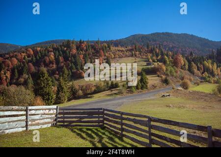 Paesaggio autunnale in montagna con prato e alberi colorati sullo sfondo Foto Stock