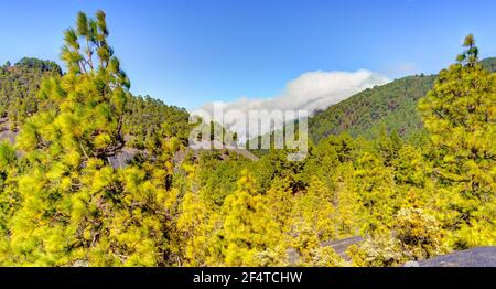 Paesaggio vulcanico sull'isola di la Palma Foto Stock
