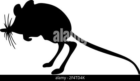 Silhouette di mouse tascabile spinoso. Linee lisce e pulite. Silhouette di mouse tascabile con dettagli spinosi. Illustrazione vettoriale. Illustrazione Vettoriale