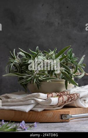 Primo piano di foglie di salvia, prodotti salutari di cibo alle erbe, ingredienti sani per cucinare Foto Stock