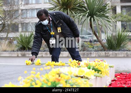 Un membro dello staff colloca i fiori ai piedi della statua dell'infermiera della Guerra di Crimea Mary Seacole durante una cerimonia per osservare un minuto di silenzio al St Thomas' Hospital, nel centro di Londra, Come parte della Giornata Nazionale di riflessione, nell'anniversario del primo blocco nazionale per prevenire la diffusione del coronavirus. Data immagine: Martedì 23 marzo 2021. Foto Stock