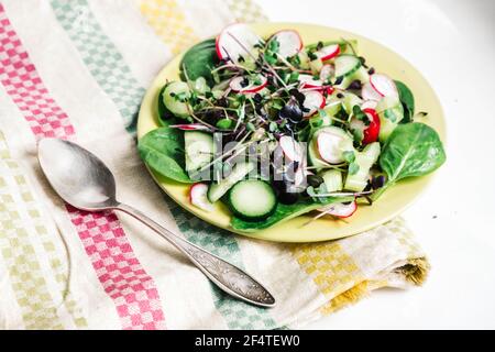 Insalata vegetariana estiva con rafano, cetriolo, spinaci e micrograni su piatto giallo Foto Stock