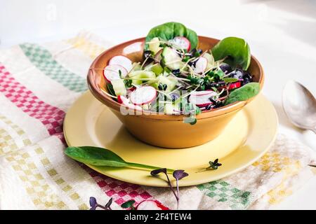 Insalata vegetariana primaverile con rafano, cetriolo, spinaci e micrograni Foto Stock