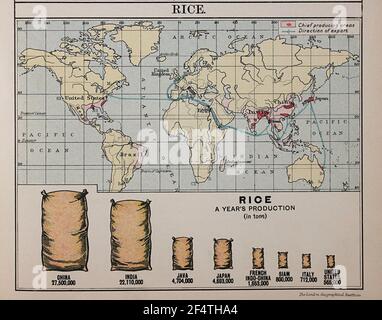 Mappa mondiale di 'Philips' Chamber of Commerce Atlas', 1912, che mostra la produzione di riso. Foto Stock