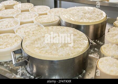 São Roque de Minas - MG, Brasile - 12 dicembre 2020: Processo di salatura del formaggio con sale grosso al formaggio artigianale roça da Cidade, a Serr Foto Stock