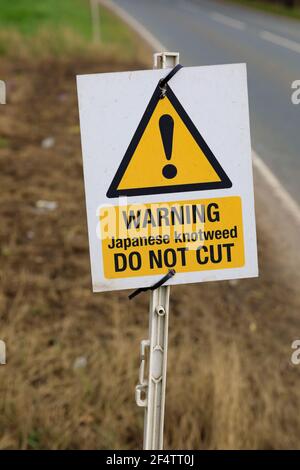 Cartelli di pericolo Knotweed giapponesi vicino a Honington Village, vicino a Grantham, Licolnshire, Inghilterra. Foto Stock