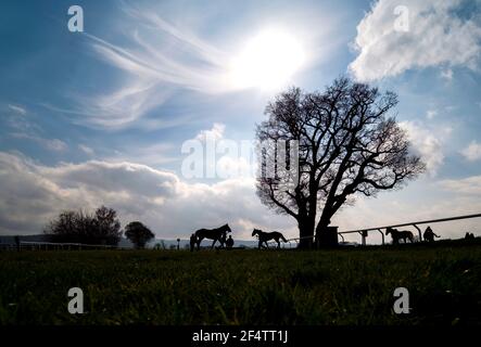 Una vista generale mentre i corridori fanno il loro senso da e verso le scuderie all'Ippodromo di Taunton. Data immagine: Martedì 23 marzo 2021. Foto Stock