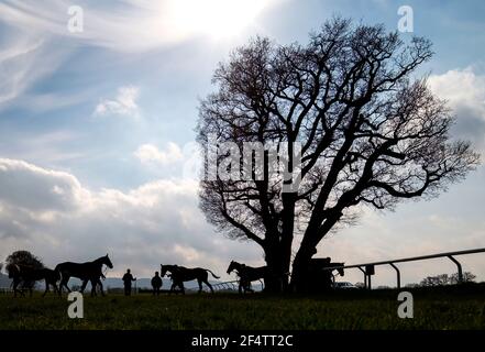 Una vista generale mentre i corridori fanno il loro senso da e verso le scuderie all'Ippodromo di Taunton. Data immagine: Martedì 23 marzo 2021. Foto Stock