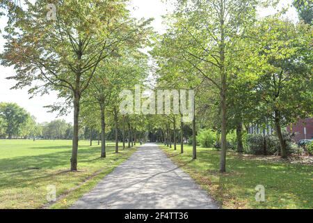 Splendido parco Hiroshima-Nagasaki durante la primavera, vista del sentiero pedonale, Colonia, Germania Foto Stock