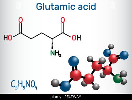 Acido glutammico (acido L-glutammico, Glu, e) molecola di amminoacido alifatico. Formula chimica strutturale e modello molecolare. Illustrazione vettoriale Illustrazione Vettoriale