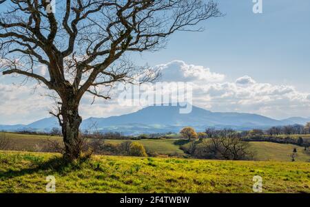 La Rhune montagna nei Paesi Baschi, Francia Foto Stock