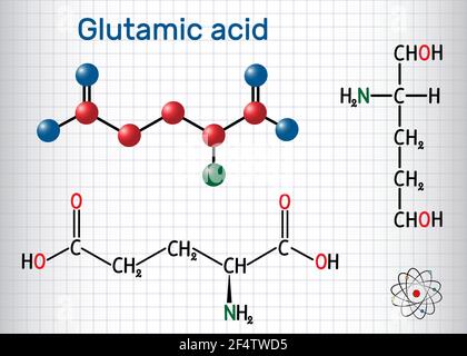 Acido glutammico (acido L-glutammico, Glu, e) molecola di amminoacido alifatico. Foglio di carta in gabbia. Formula chimica strutturale e modello molecolare. Vect Illustrazione Vettoriale