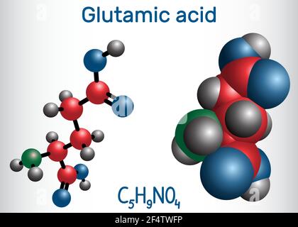 Acido glutammico (acido L-glutammico, Glu, e) molecola di amminoacido alifatico. Modello di molecola. Illustrazione vettoriale Illustrazione Vettoriale