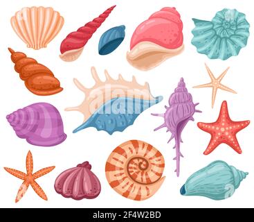 Cartoni animati. Estate spiaggia conchiglie mare, subacquea, Ocean reef conchiglie tropicali. Conchiglie marine decorazione vettoriale illustrazione set Illustrazione Vettoriale