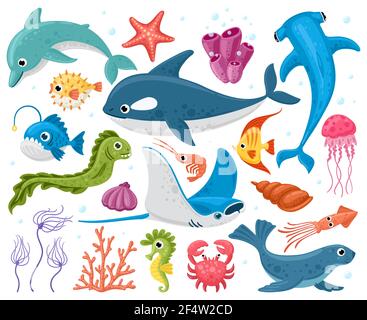 Animali oceanici. Animali marini di Cartoon, orche, stingray, granchio e delfino. Carino mare animali caratteri vettore illustrazione set Illustrazione Vettoriale