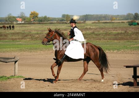 PUSZTA, UNGHERIA, SETTEMBRE 04. 2020: Pastori ungheresi come csikos in costume tradizionale folk che mostra i suoi cavalli addestrati nel puszta lowl ungherese Foto Stock