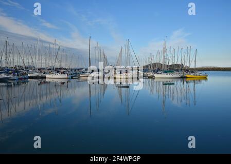 Barche a vela presso Howth Yacht Club e Marina a Dublino, Contea di Leinster Irlanda. Foto Stock