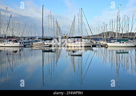 Barche a vela presso Howth Yacht Club e Marina a Dublino, Contea di Leinster Irlanda. Foto Stock