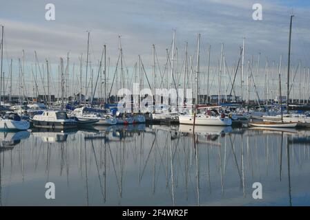 Barche a vela presso Howth Yacht Club e Marina a Dublino, Contea di Leinster Irlanda. Foto Stock