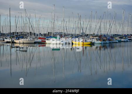 Barche a vela presso Howth Yacht Club e Marina a Dublino, Contea di Leinster Irlanda. Foto Stock