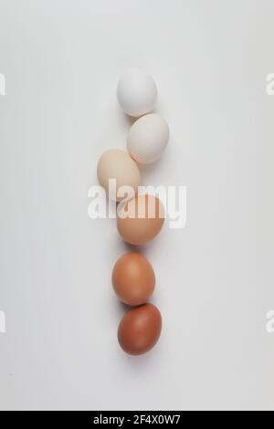 Uova di diversi colori marroni su sfondo bianco. Gradiente di colore. Concetto di Pasqua senza sprechi. Foto Stock