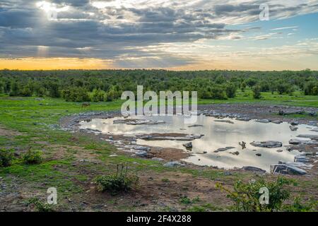 Campo di Halali con waterhole di Moringa nel parco nazionale di Etosha al tramonto In Namibia Foto Stock