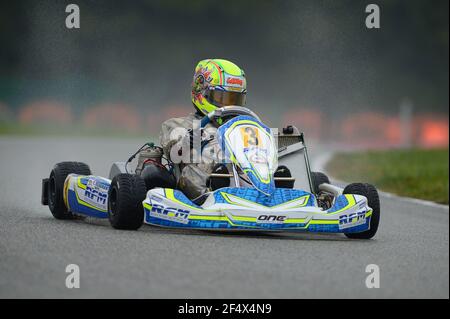 NORRIS Lando (GBR) fa Kart Vortex, azione durante il campionato del mondo karting 2014 dal 19 al 20 settembre 2014, sul circuito di Essay, in Francia. Foto KSP / DPPI Foto Stock