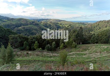 Vista sull'entroterra attraverso colline ondulate e terreni agricoli, dalla Great Ocean Road, Victoria, Australia Foto Stock