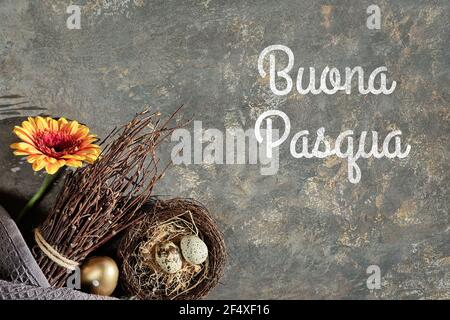 Decorazioni pasquali, testo Buonasqua significa buona Pasqua in lingua italiana. Gerbera fiore, uova di quaglia in nido, ramoscelli, disposizione della molla sopra Foto Stock