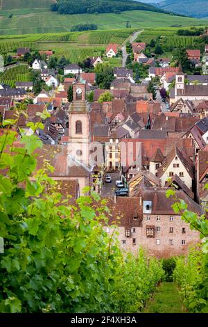 La mattina presto vista su Riquewihr, Alsazia, Francia Foto Stock