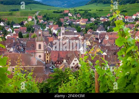 La mattina presto vista su Riquewihr, Alsazia, Francia Foto Stock