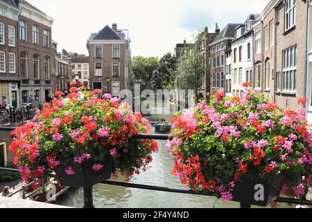 Giorno d'estate lungo i canali di Utrecht, Paesi Bassi Foto Stock