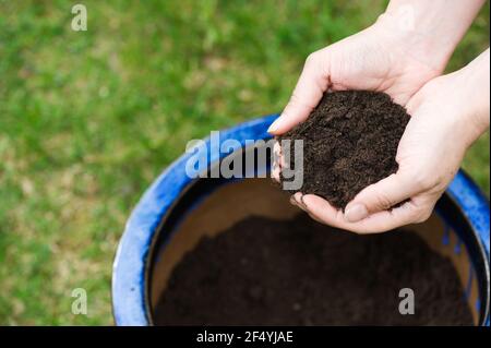 Mani imbutite tenendo sporco e riempimento vaso di fiori. Foto Stock