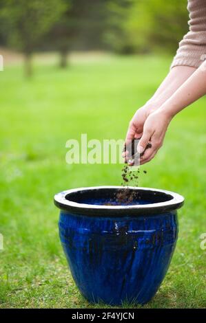 Mani imbutite tenendo sporco e riempimento vaso di fiori. Foto Stock