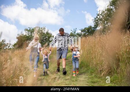 Famiglia felice che tiene le mani che corrono in un campo rurale soleggiato Foto Stock