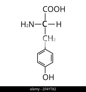L'amminoacido tirosina. Formula molecolare chimica dell'amminoacido tirosina. Illustrazione vettoriale su sfondo isolato Illustrazione Vettoriale