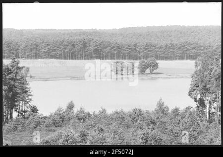 Larghezza stretta Il grande stagno della foresta Foto Stock