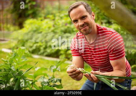 Ritratto uomo orgoglioso raccogliendo cipolle verdi fresche in giardino Foto Stock