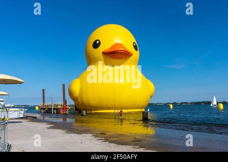 Giant Rubber Duck per celebrare il 150° anniversario del Canada, Toronto, Canada - 30 giugno 2017 Foto Stock