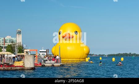 Giant Rubber Duck per celebrare il 150° anniversario del Canada, Toronto, Canada - 30 giugno 2017 Foto Stock