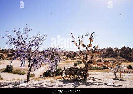 Malvagi occhi amuleti e brocche di argilla decorando gli alberi nel Parco Nazionale di Goreme in Cappadocia, Turchia Foto Stock