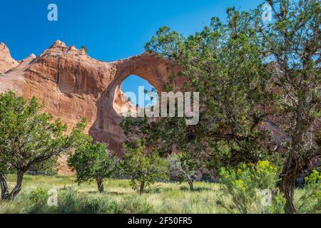 Window Rock, Navajo Nation, Arizona Stati Uniti. Foto Stock