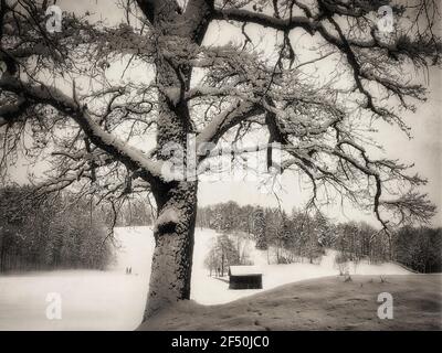 DE - BAVARIA: Inverno lungo il Kalvarienberg a Bad Toelz Foto Stock